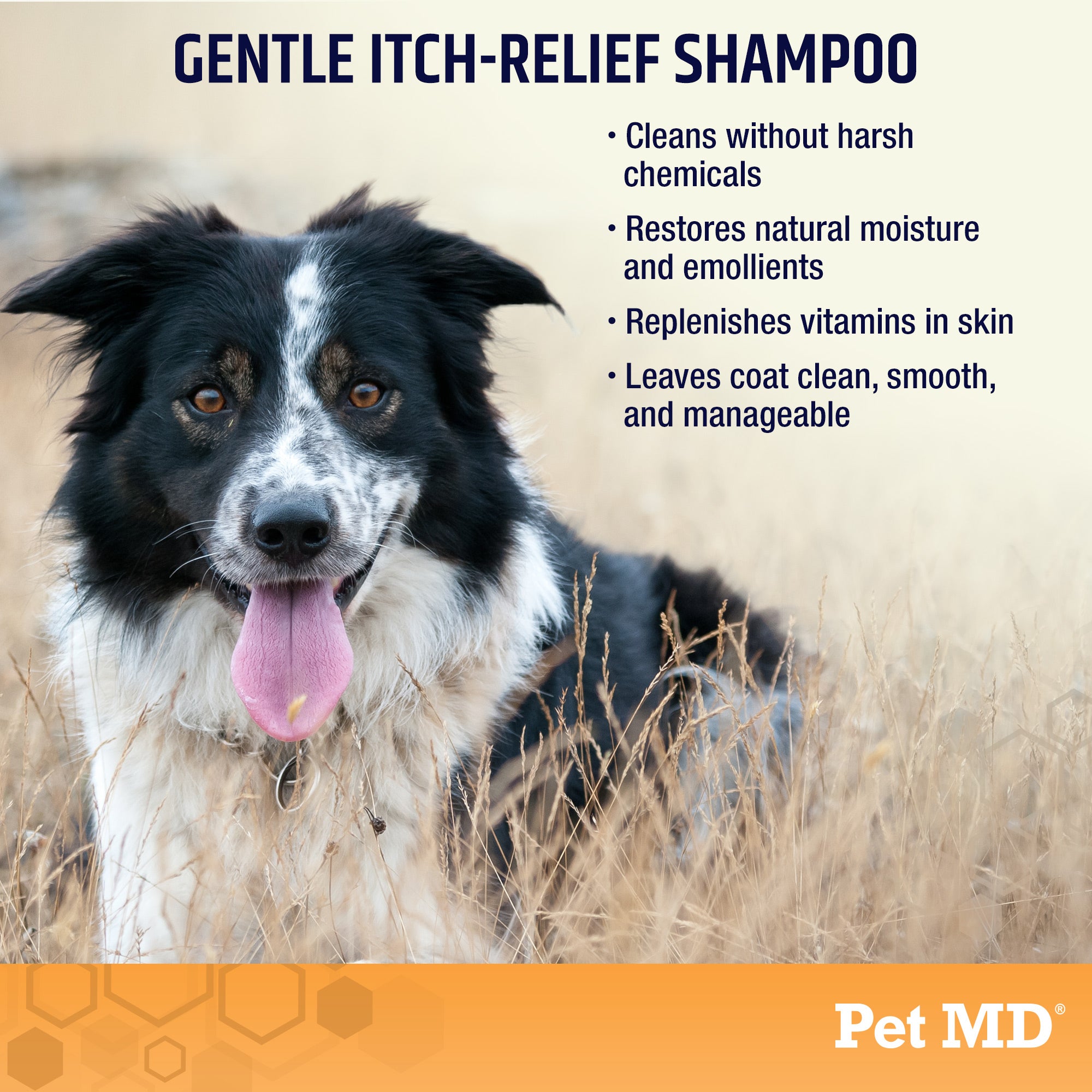 Oatmeal & Aloe Itch Relief Shampoo for Dogs & Cats - 16 oz – Pet MD Store