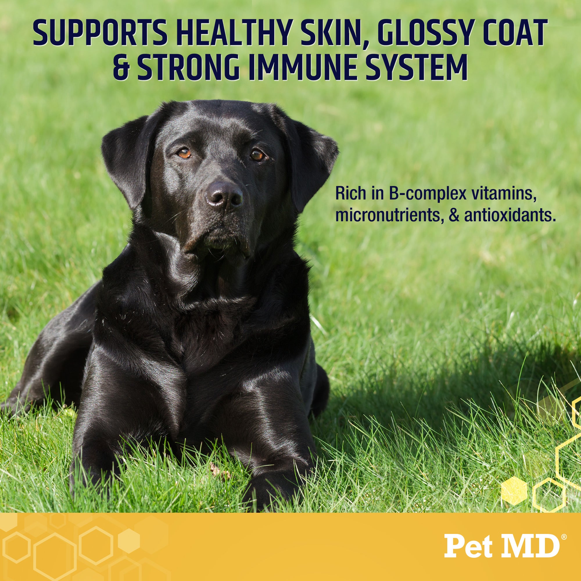 Pet MD Garlic & Brewers Yeast for Dogs & Cats 1000 ct Pet MD Store