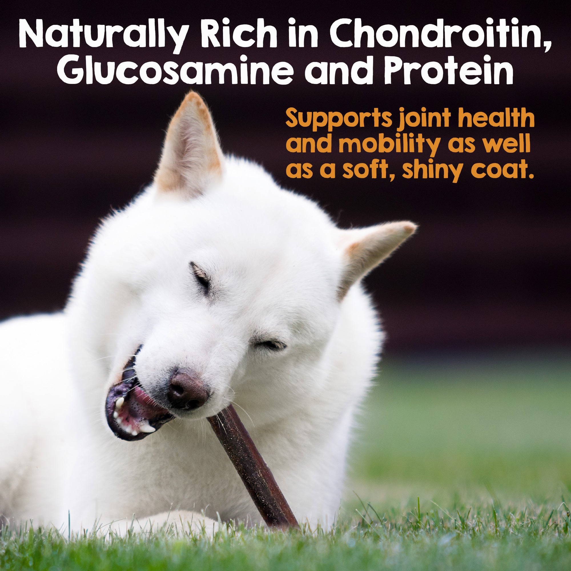 riley-s-originals-beef-collagen-sticks-pet-md-store