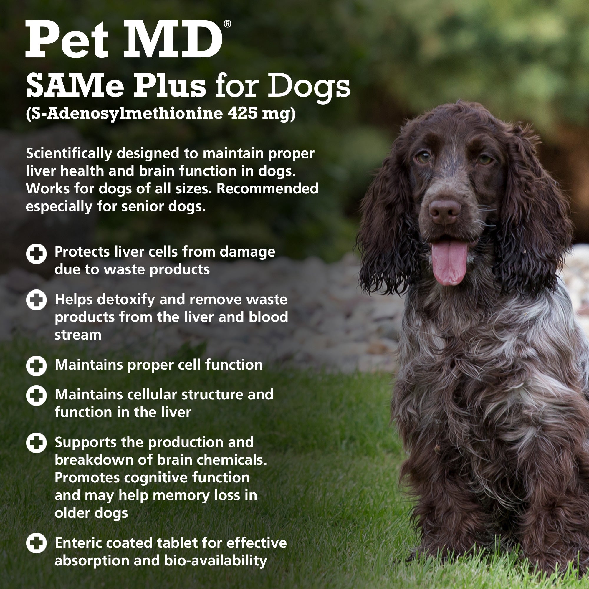 Sam e clearance for dogs 425mg