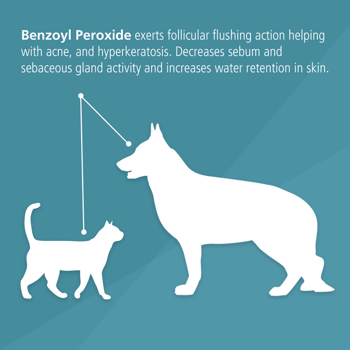 Benzoyl peroxide sales dog shampoo uk